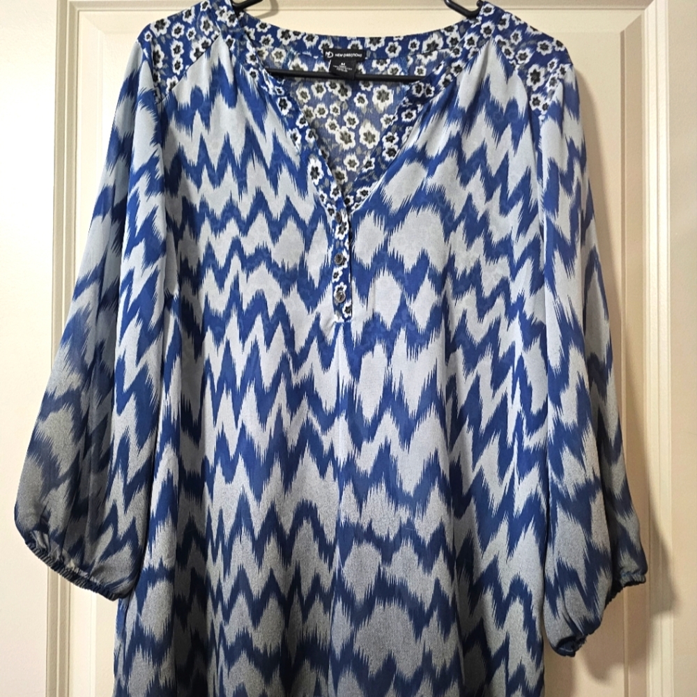 Sheer Dress Shirt